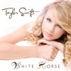 Taylor Swift Mean Single Cover. Horse Taylor Swift Single.