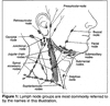 movable lump on jaw joint