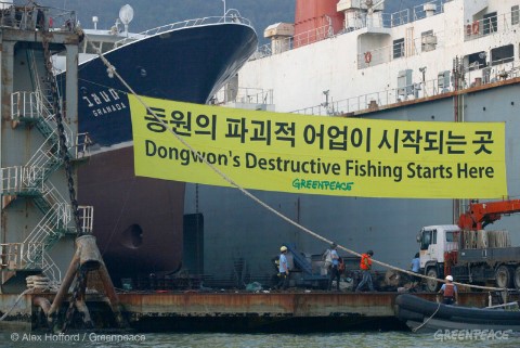 DongWon-DryDock-Action-076.jpg?type=w2