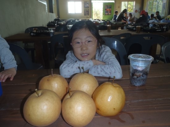 PA280294.JPG?type=w3