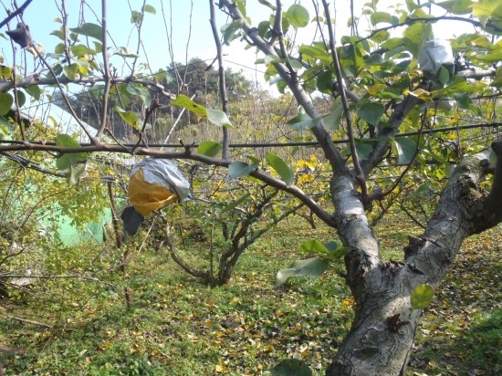 PA280295.JPG?type=w3