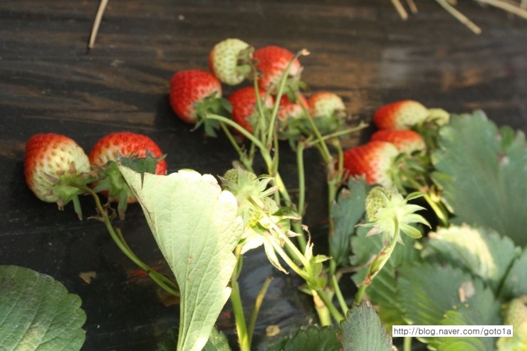 IMG_9200.JPG?type=w2