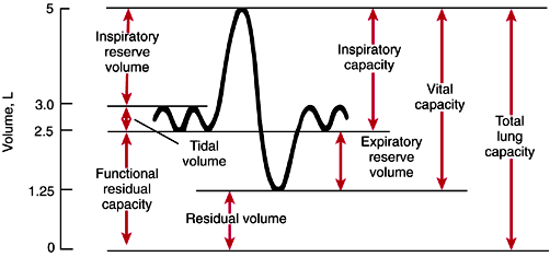 non-invasive-ventilation-bipap-vs-cpap