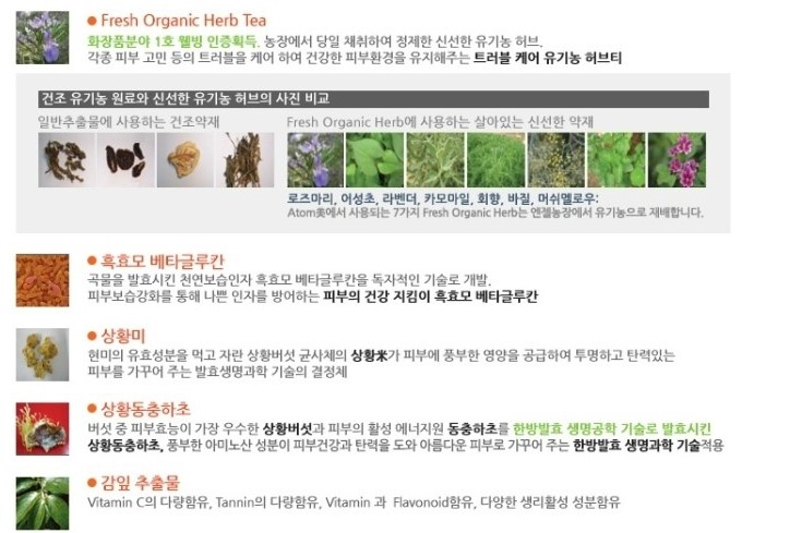 비비시스템 이미지
