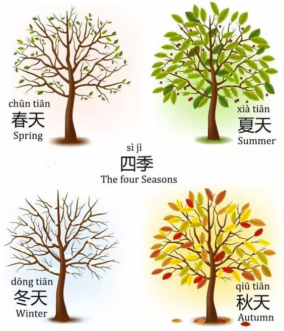 [중국어어휘] 자연 > 4계절 > 봄 여름 가을 겨울 네이버 블로그