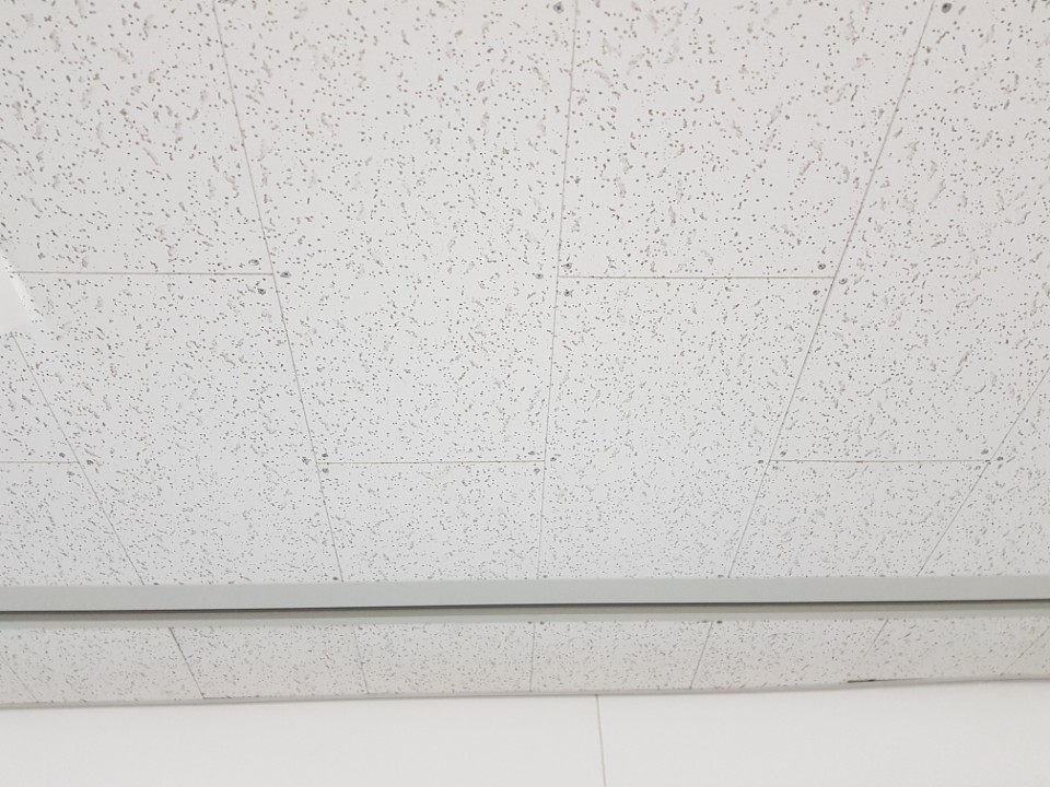 서울신기초등학교 이미지