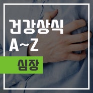 섬네일